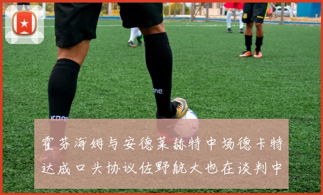 霍芬海姆与安德莱赫特中场德卡特达成口头协议佐野航大也在谈判中