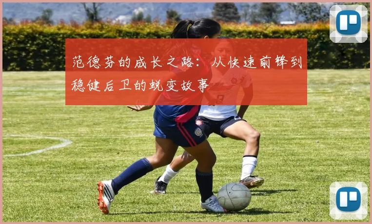 范德芬的成长之路：从快速前锋到稳健后卫的蜕变故事